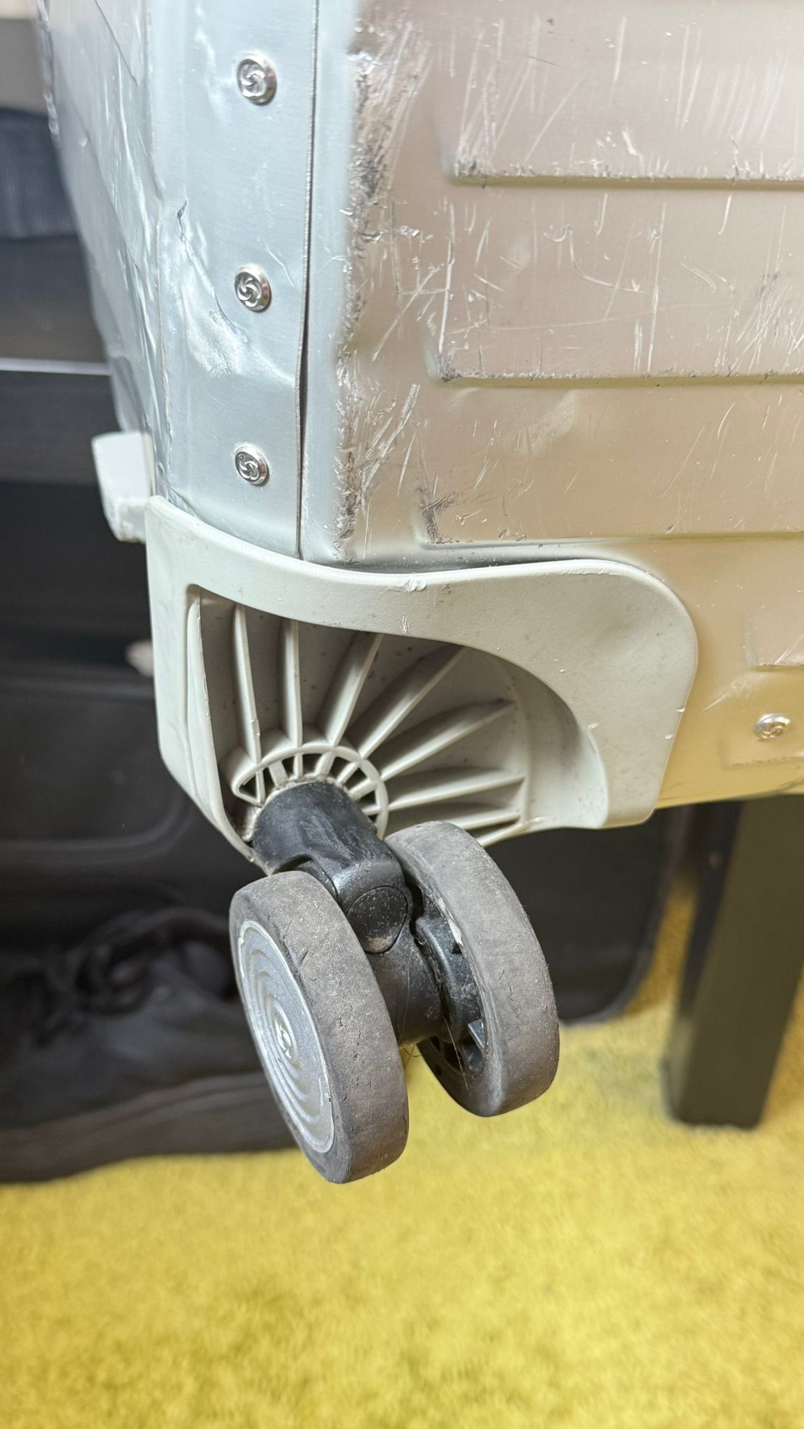 Ferienwohnung · Damp